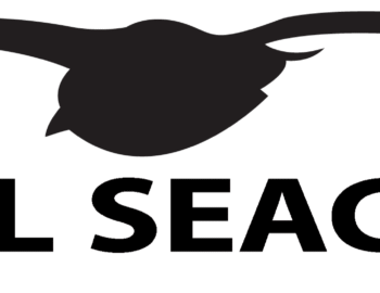 HQ-Metal-Seagulls-copy